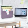 Acrimet 3 Tier Horizontal Hanging File and Folder Organizer – Desktop Storage for Paper Letter / A4 Size – Stackable Design for Office, Home, School – Plastic Solid Purple