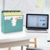 Acrimet 3 Tier Horizontal Hanging File and Folder Organizer – Desktop Storage for Paper Letter / A4 Size – Stackable Design for Office, Home, School – Plastic Solid Green