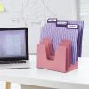 Acrimet 5 Section Incline File Sorter Organizer, Mail, Folder, Letter Desk Organizer, Rack for Office Organization Desktop (Plastic) (Solid Pink Color)