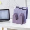 Acrimet 5 Section Incline File Sorter Organizer, Mail, Folder, Letter Desk Organizer, Rack for Office Organization Desktop (Plastic) (Solid Purple Color)