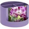 Acrimet Compact Desktop Organizer, 4 Spacious Slots, Round Pencil and Accessories Holder with Photo Slot, Ideal for Office, Art Supplies, Vanity Storage, and Home Organization (Solid Purple Plastic)