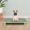 Acrimet Cooling Elevated Pet Dog Bed Cot for Small Dogs, Washable and Breathable Mesh Fabric, Stainless Steel Frame, Indoor & Outdoor Use, (Size: 26”x 20”) (Green Color) (1 Unit)