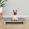 Acrimet Cooling Elevated Pet Dog Bed Cot for Small Dogs, Washable and Breathable Mesh Fabric, Stainless Steel Frame, Indoor & Outdoor Use, (Size: 26”x 20”) (Gray Color) (1 Unit)