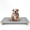 Acrimet Cooling Elevated Pet Dog Bed, Washable and Breathable Mesh Cot, Stainless Steel Frame, Indoor & Outdoor Use, fits Dogs up to 110 lbs (Size: 40” x 24”), Gray, 1 Unit