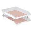 Acrimet Facility 2 Tier Letter Tray, Front Load, Letter Size/A4, Desktop File Organizer, Plastic (White Color)