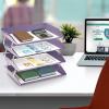 Acrimet Facility 3 Tier Letter Tray, Side Load, Letter Size/A4, Desktop File Organizer, Plastic (Clear Crystal Color)(Solid Purple Color)