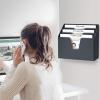 Acrimet Horizontal Triple File Folder Holder Organizer (Black Color)