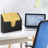 Acrimet Horizontal Triple File Folder Holder Organizer (Manila Folders Letter Size Included) (Black Color)
