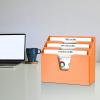 Acrimet Horizontal Triple File Folder Holder Organizer (Orange Citrus Color)