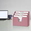 Acrimet Horizontal Triple File Folder Holder Organizer (Solid Pink Color)