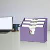 Acrimet Horizontal Triple File Folder Holder Organizer (Solid Red Color)(Purple)