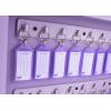 Acrimet Key Cabinet Organizer 48 Positions with Lock (Wall Mount) (48 Purple Tags Included) (Purple Cabinet)