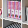Acrimet Magazine File Holder, Durable Rack, Space-Saving Organizer (Plastic) (Clear Pink Color) (2 pack)