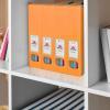 Acrimet Magazine File Holder, Durable Rack, Space-Saving Organizer (Plastic) (Orange Color) (2 Pack)