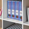 Acrimet Magazine File Holder, Durable Rack, Space-Saving Organizer (Plastic) (Smoke Color) (2 pack)(Clear Blue Color)