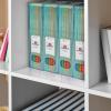 Acrimet Magazine File Holder, Durable Rack, Space-Saving Organizer (Plastic) (Smoke Color) (2 pack)(Clear Green)