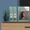 Acrimet Magazine File Holder, Durable Rack, Space-Saving Organizer (Plastic) (Smoke Color) (2 pack)(Clear Green)