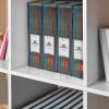 Acrimet Magazine File Holder, Durable Rack, Space-Saving Organizer (Plastic) (Smoke Color) (2 pack)(Smoke)