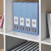 Acrimet Magazine File Holder, Durable Rack, Space-Saving Organizer (Plastic) (Solid Blue Color) (2 pack)