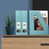 Acrimet Magazine File Holder, Durable Rack, Space-Saving Organizer (Plastic) (Solid Green Color) (2 pack)