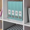 Acrimet Magazine File Holder, Durable Rack, Space-Saving Organizer (Plastic) (Solid Green Color) (2 pack)
