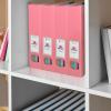 Acrimet Magazine File Holder, Durable Rack, Space-Saving Organizer (Plastic) (Solid Pink Color) (2 pack)