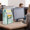 Acrimet Vertical Triple File Folder Holder Organizer, File Sorter (Plastic) (Clear Crystal Color)(Clear Green)