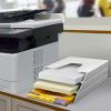 Acrimet Vertical Triple File Folder Holder Organizer, File Sorter (Plastic) (White Color)