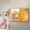 Acrimet Wall Mount Sign Holder Ledger Size A3, Clear Crystal Plastic with Self Adhesive on the back, Perfect for Displaying in Office, Restaurant, School, Home (2 pack)