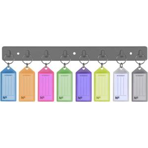 Acrimet Key Tag Rack w/ 8 Keyring Tags (Self-Adhesive Key Storage Rack) (1 Pack) (Assorted Color)