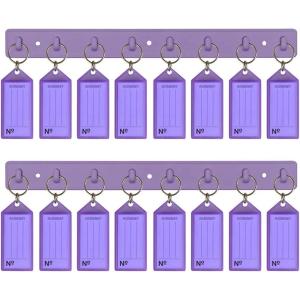 Acrimet Key Tag Rack w/ 8 Keyring Tags (Self-Adhesive Key Storage Rack) (2 Pack) (Purple with Clear Purple Color)